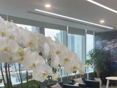 -马泷齿科·成都锦江置略马泷口腔门诊部(IFS国金中心店)