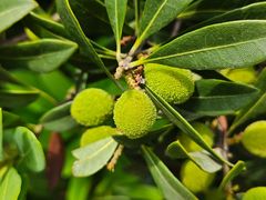 -宝岩生态观光园