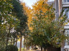 -杭州师范大学(下沙校区)