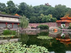 -黄鹤楼公园(黄鹤楼)