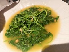 -星·South Beauty·俏江南(国贸店)