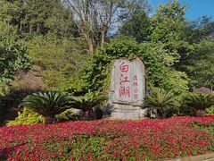 -广州白江湖森林公园