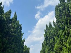 -上海市龙华烈士陵园