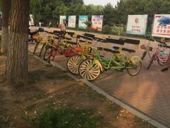 -丁香湖公园