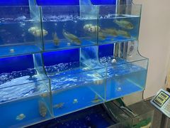 水产区-百家鲜·杭帮菜