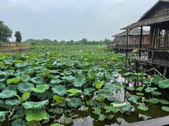 -军山湖云水间生态农业旅游景区