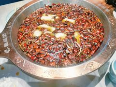 招牌水煮草鱼-雲蜀龙阁·金牌水煮鱼(方庄店)