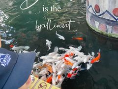 -南宫五洲植物乐园