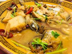 红烧龙头鱼-文仔海鲜馆