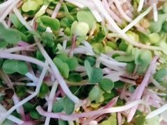-大众海鲜(巨龙北路店)