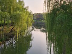 -尚贤河湿地
