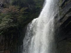 -黎坪国家森林公园