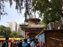 -皇家御河游(紫御湾码头)