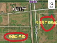 -汉长安城未央宫国家考古遗址公园