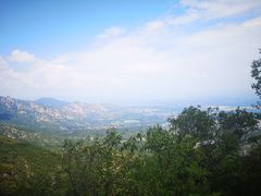 -阳台山自然风景区