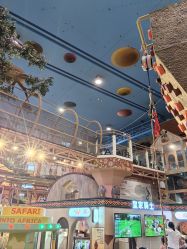-卡通尼·Safari非洲探索乐园·生日会(金桥国际商业广场店)