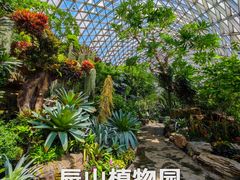-上海辰山植物园