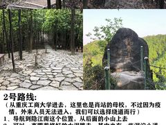 -南山植物园