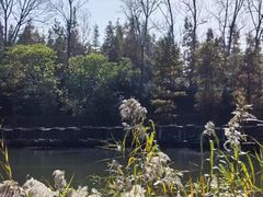 -溱湖国家湿地公园