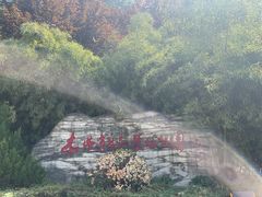 -木塔寺遗址生态公园