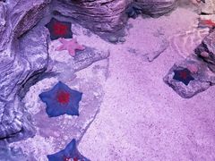 -沈阳海洋探索中心