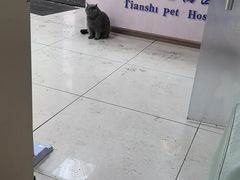 -天时宠物医院24小时疑难病例会诊中心(顾乡大街总院)