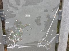 -广州市流溪河国家森林公园