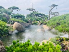 -罗红摄影艺术馆