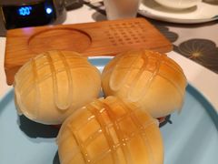 -新兴·金羊座·粤菜点心(乐峰店)