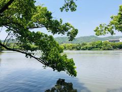 -慈城古县城景区
