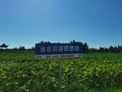 -洪湖生态旅游区