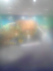 android_upload_pic-meland亲子乐园·派对·研学(淄博万象汇店)