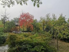 -云龙山