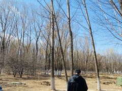 -亲兄弟真人CS团建拓展基地