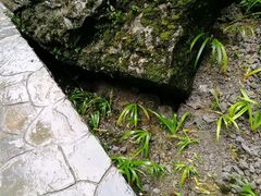-武隆天坑地缝国家地质公园