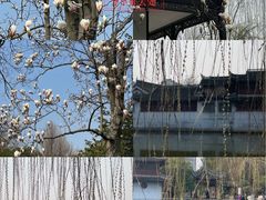 -水绘园