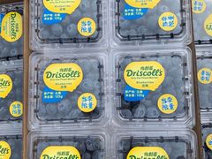 -上海龙吴水胜海发市场