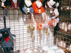 -猫咪博物馆(顶澳仔猫街店)