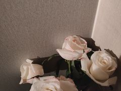 -道合堂·中式按摩·spa(民治店)