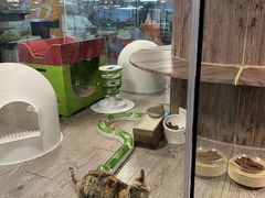-宠物世家(仲盛世界商城店)