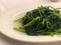 炒地瓜叶-廣味潮鲜·一品潮滋味(五道口店)