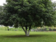 -重庆中央公园(渝北区)