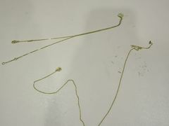 -聚云奢二手奢侈品黄金手表包包回收·中古店(上海店)