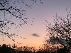 -绍兴镜湖国家城市湿地公园