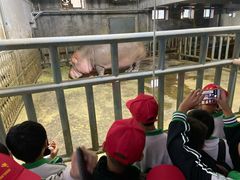 -西安秦岭野生动物园