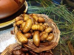 -昆虫窝子·特色云南菜(拓东路总店)