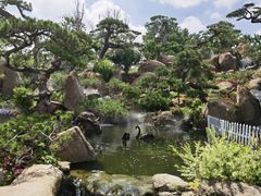 -罗红摄影艺术馆