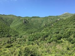 -兰州吐鲁沟国家森林公园