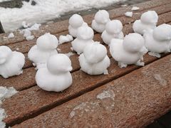 -北门涮肉·炭火铜锅涮肉(什刹海店)