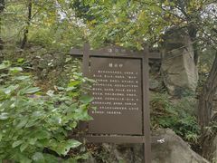 -阳台山自然风景区